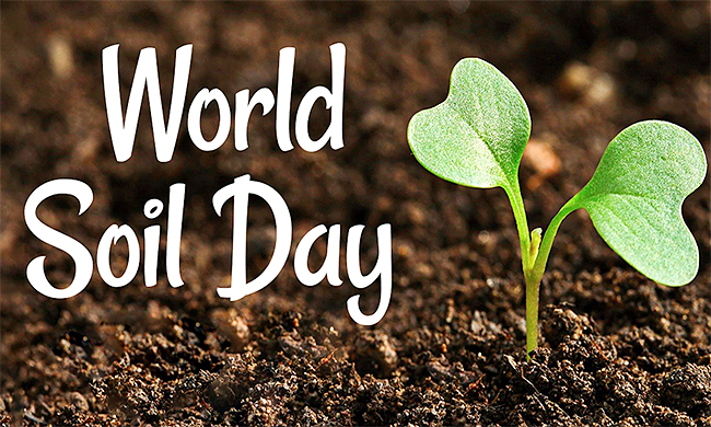 World-Soil-Day-2023-1.jpg