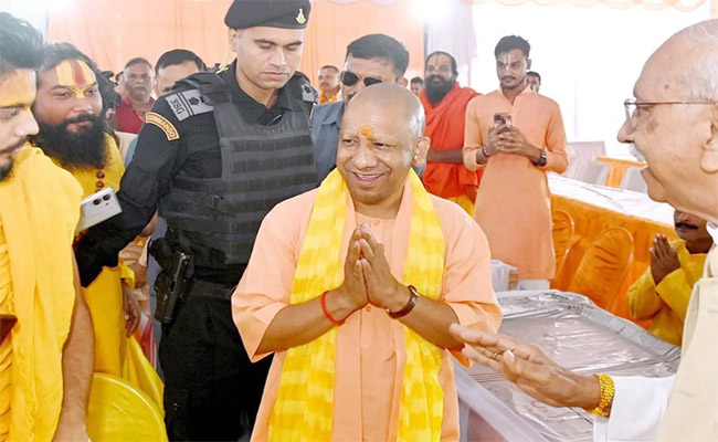 yogi.jpg