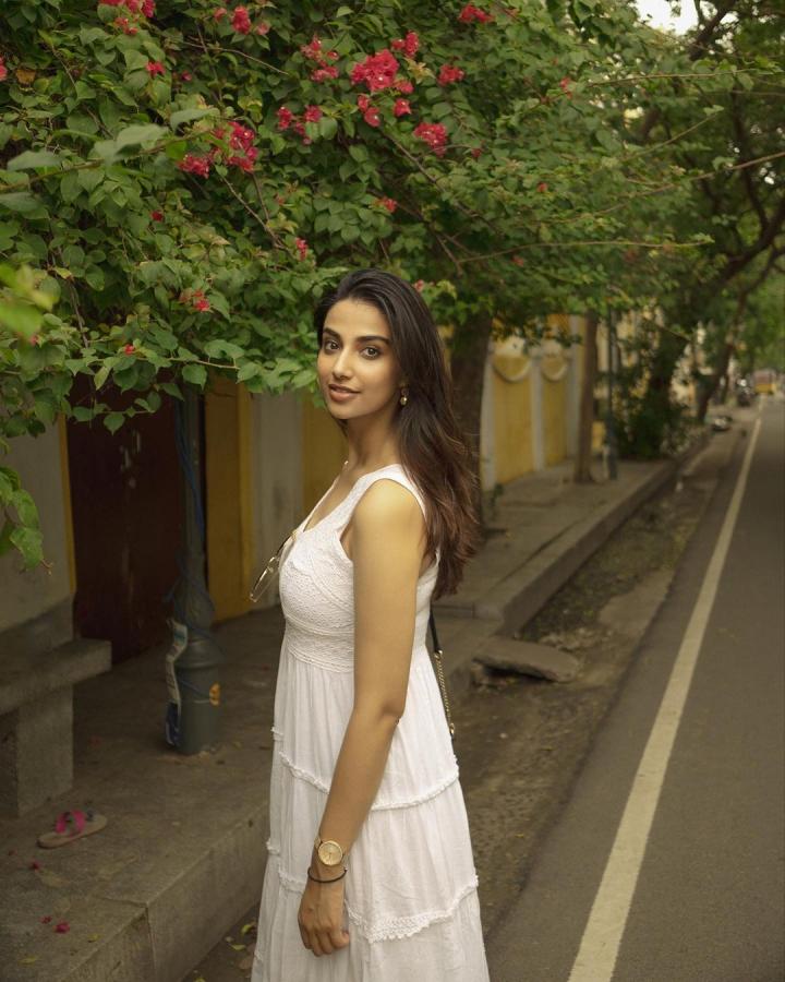 Meenaakshi-Chaudhary-mahesh-babu.jpg 18