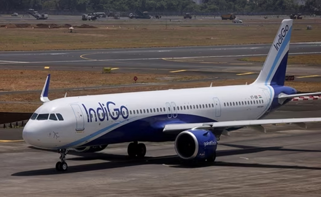 indigo.jpg