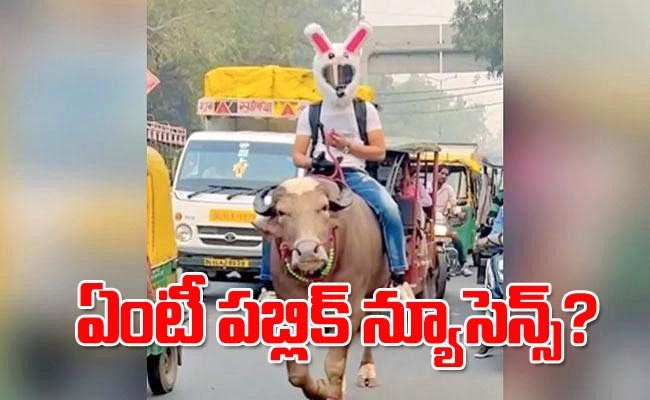 bullride_img.jpg