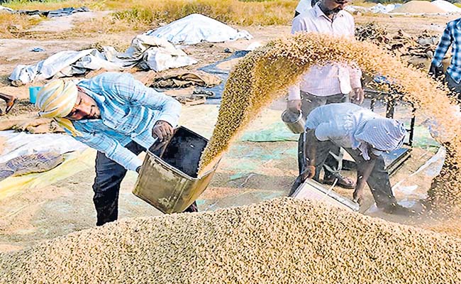 grain.jpg