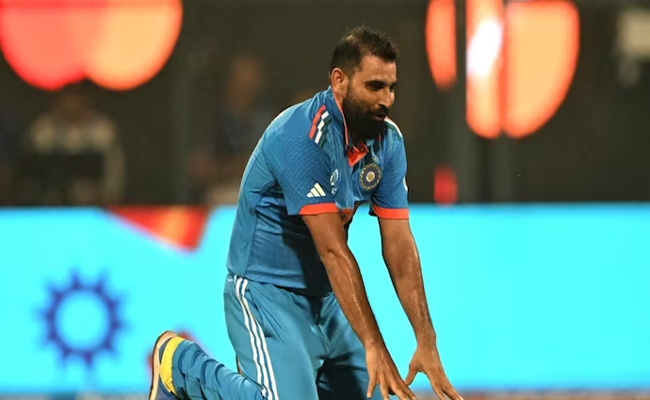 shami.jpg