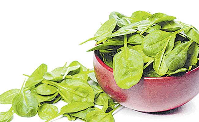 Malabar_20Spinach111.jpg
