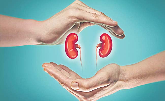 kidney.jpg