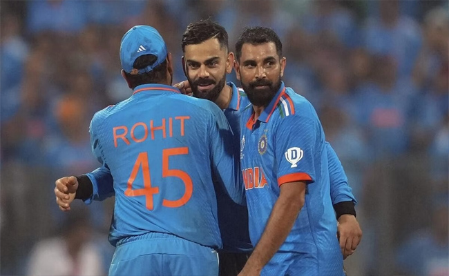 shami.jpg