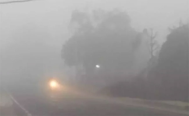 delhi.jpg