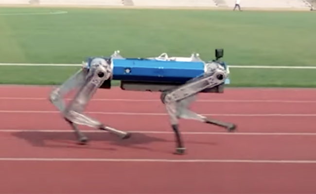 robo.jpg