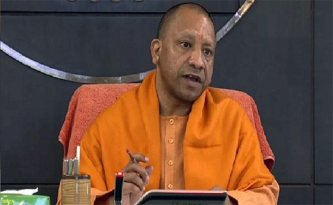 yogi.jpg