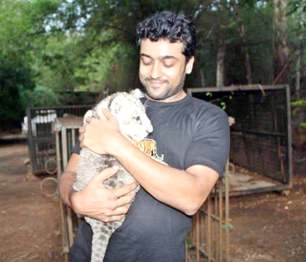 Suriya-31.jpg 32