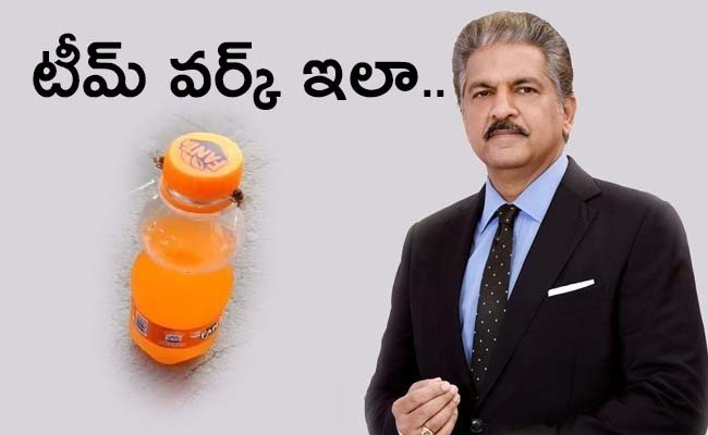 anand-mahindra-monday-motivation.jpg