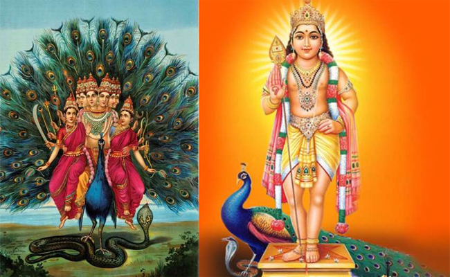 subramanyam.jpg