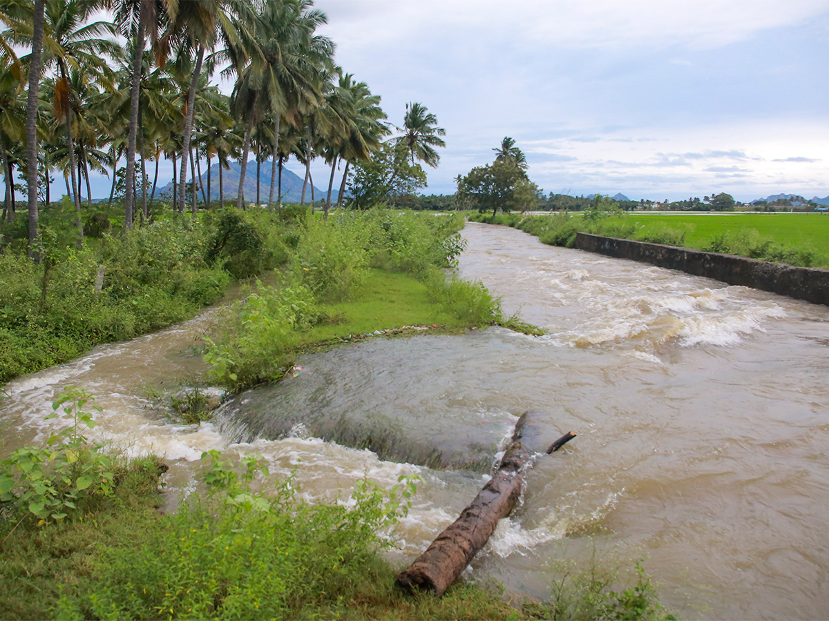 Heavy_20rains_20predicted_20in_20Tamil_20Nadu_20Pics-22.jpg 21