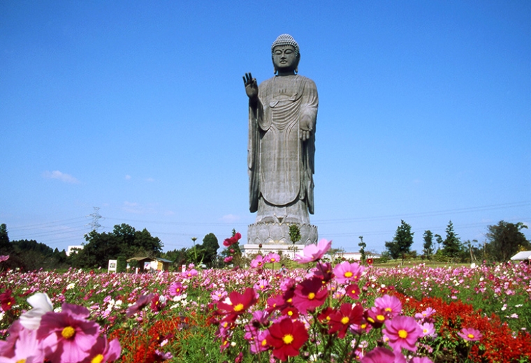 Ushiku-Daibutsu.jpg 2