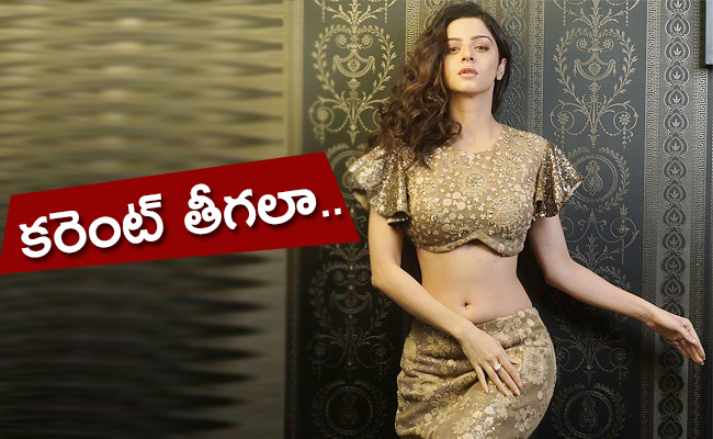 Vedhika-Doing-Multiple-Projects.jpg