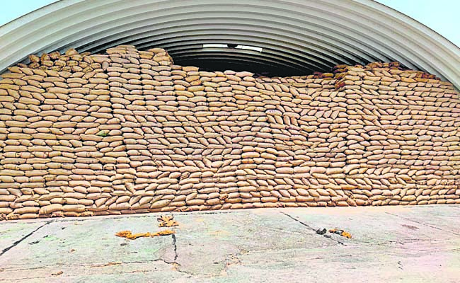 grains.jpg