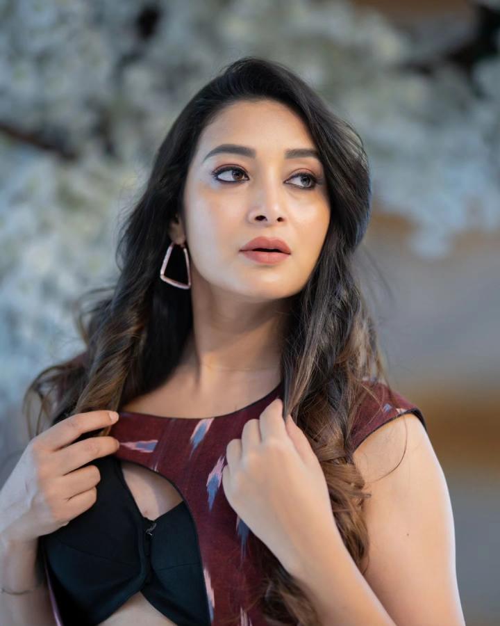 Bhanu-Shree-big-boss.jpg 11