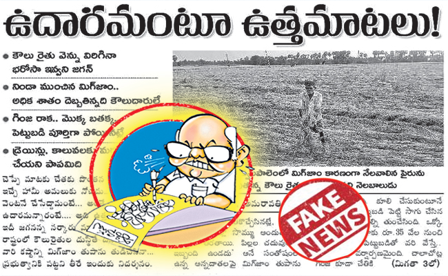 EENADU_4.jpg