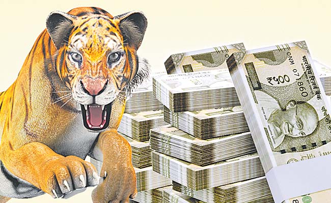 tiger.jpg