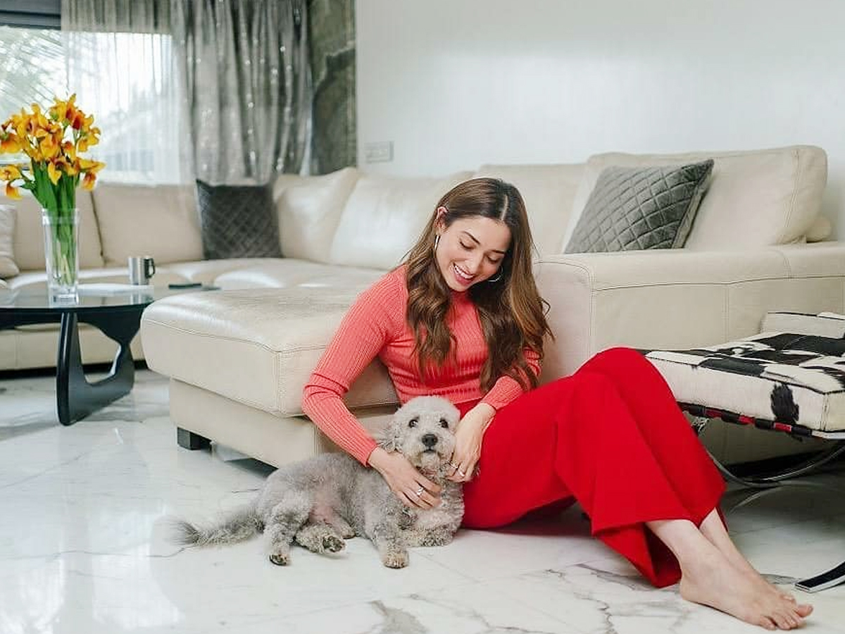 Thamannaah-Bhatia-Pet.jpg 14