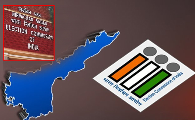 AP_Elections_EC_Review.jpg