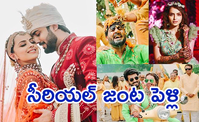 TV-Actress-Shrenu-Parikh-Married.jpg