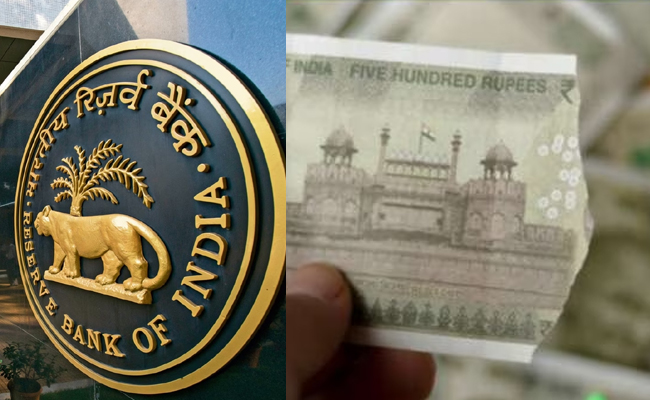 rbi-fine.jpg