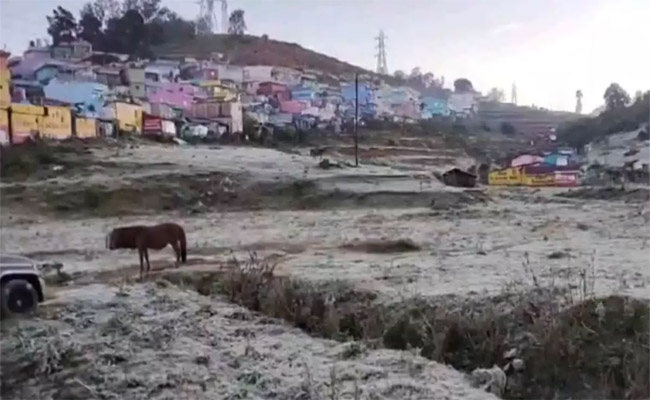nilgiri.jpg