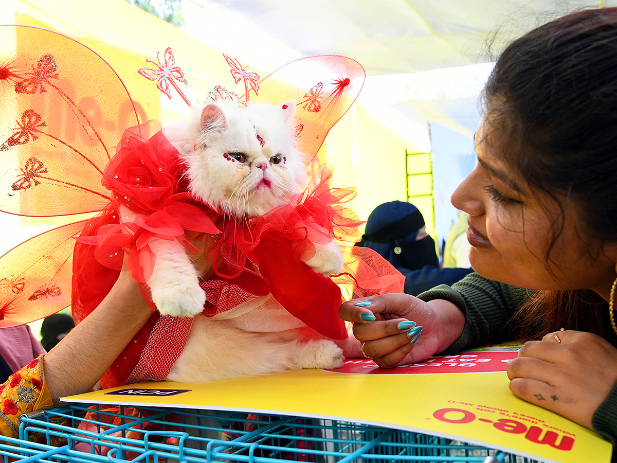 E_20Carnival_20Animal_20Show_20in_20hyderabad-1.jpg 1