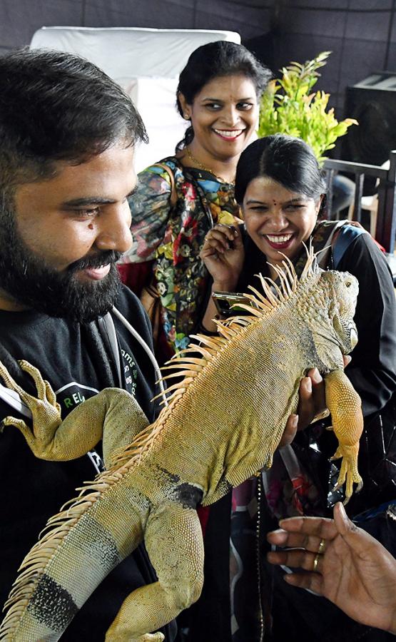 E_20Carnival_20Animal_20Show_20in_20hyderabad-10.jpg 9