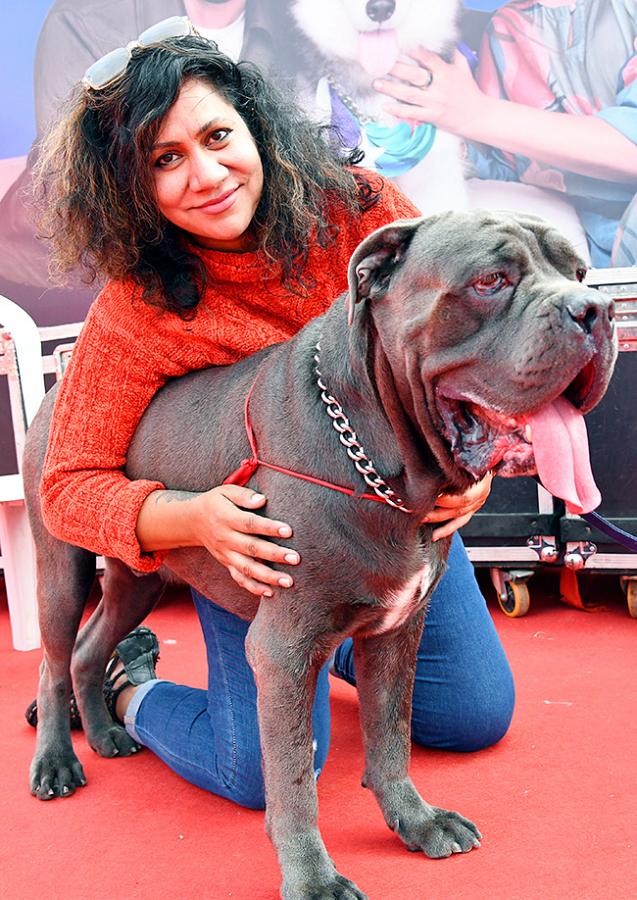 E_20Carnival_20Animal_20Show_20in_20hyderabad-11.jpg 10