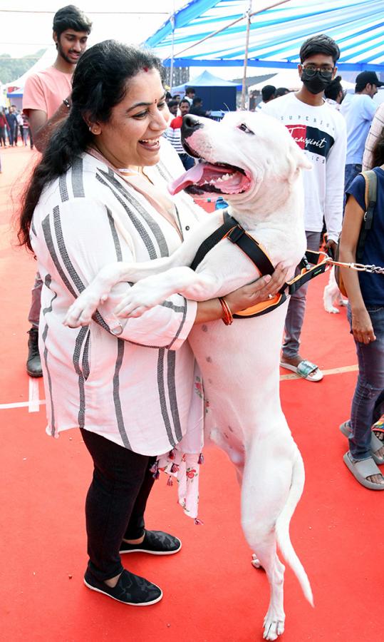 E_20Carnival_20Animal_20Show_20in_20hyderabad-13.jpg 12