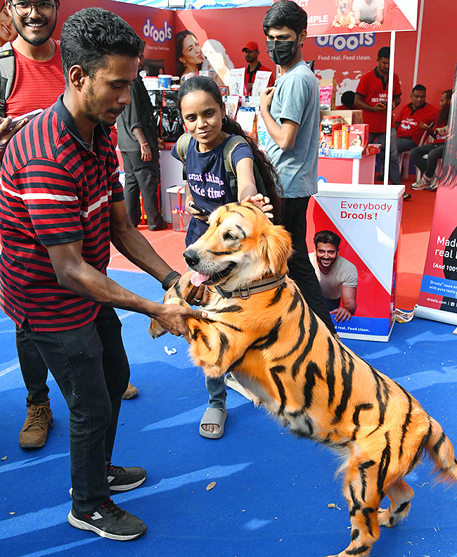 E_20Carnival_20Animal_20Show_20in_20hyderabad-19.jpg 18