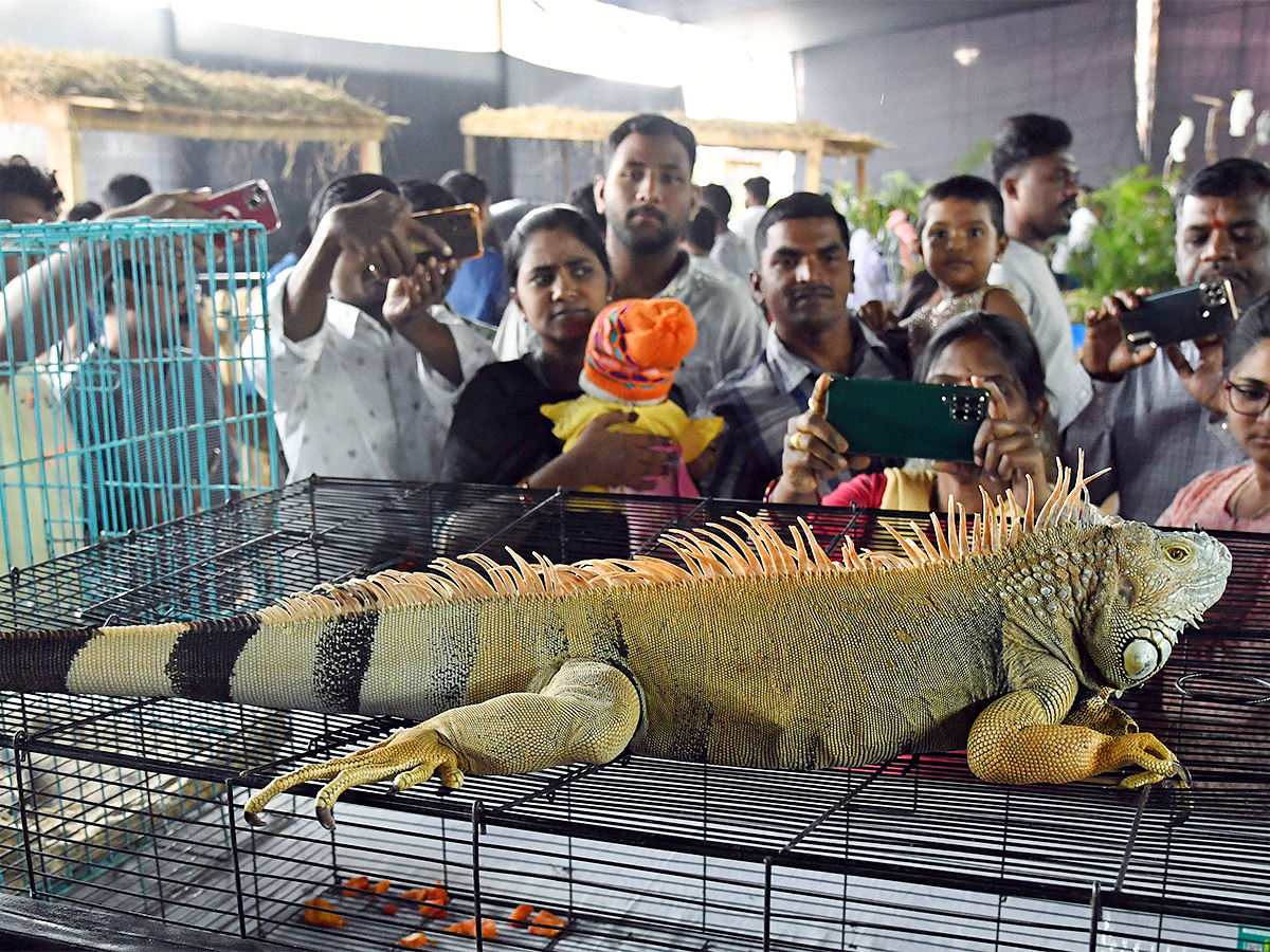 E_20Carnival_20Animal_20Show_20in_20hyderabad-2.jpg 2