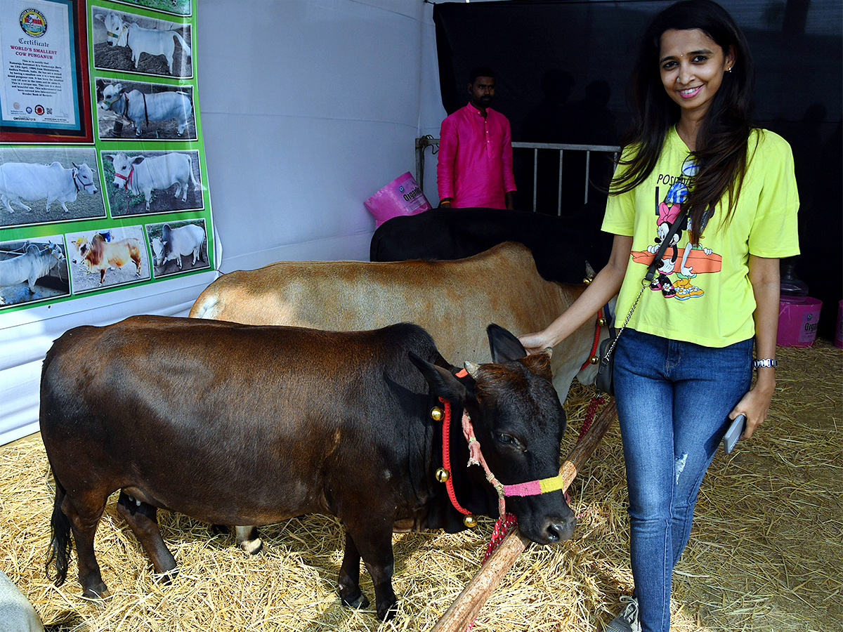 E_20Carnival_20Animal_20Show_20in_20hyderabad-21.jpg 20