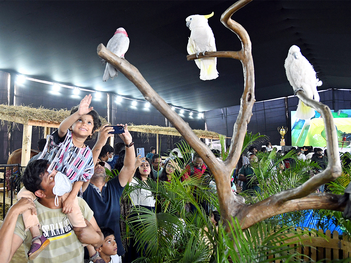 E_20Carnival_20Animal_20Show_20in_20hyderabad-25.jpg 24