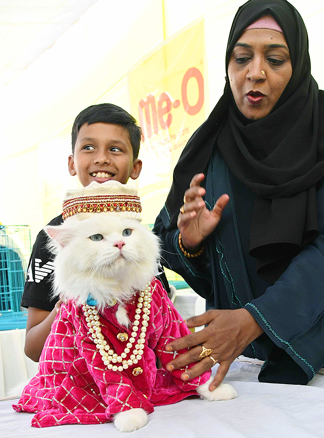 E_20Carnival_20Animal_20Show_20in_20hyderabad-4.jpg 4