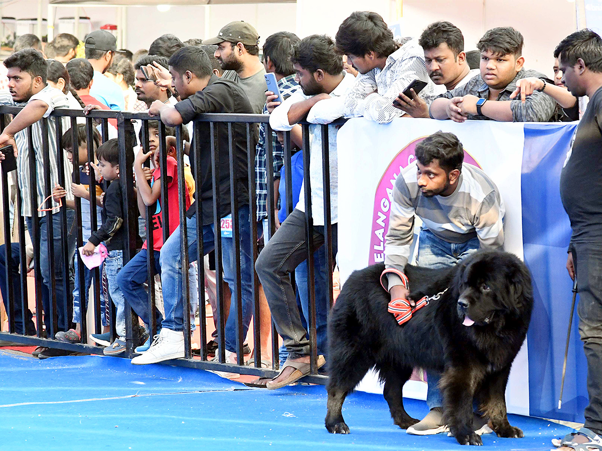 E_20Carnival_20Animal_20Show_20in_20hyderabad-5.jpg 5