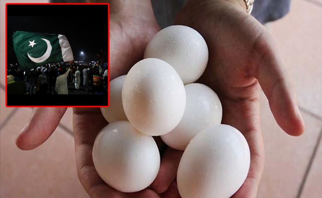 Pakistan-Egg-Price.jpg