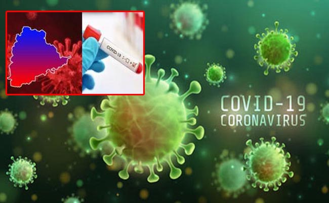 corona-virus.jpg