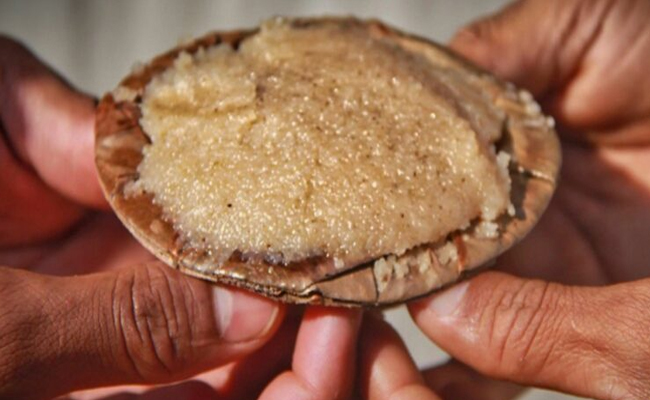 prasadam.jpg