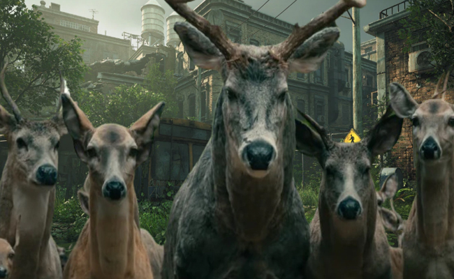 Deer.jpg