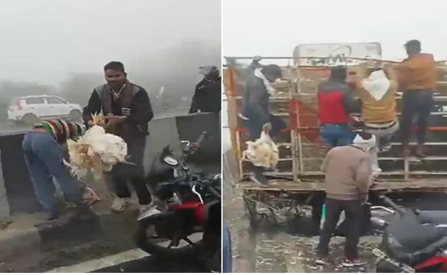 dence-fog.jpg