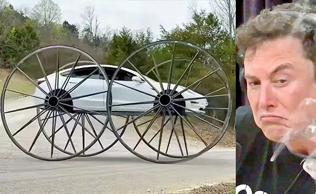 tesla-viral-video.jpeg