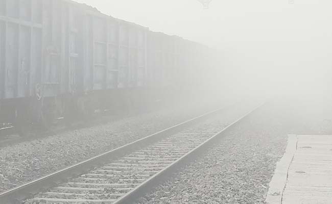 fogg.jpg