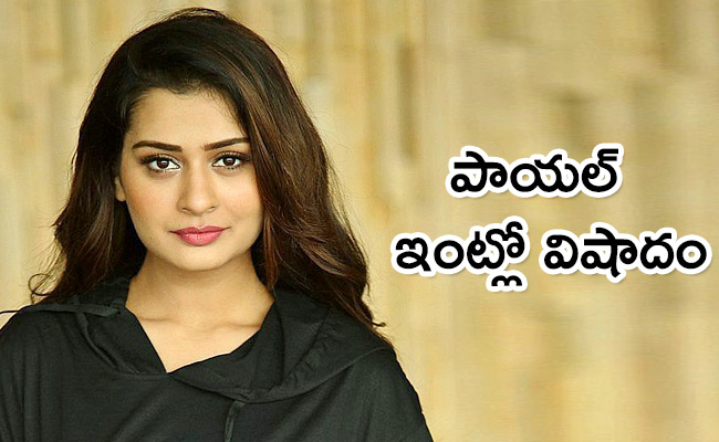 Actress-Payal-Rajput.jpg