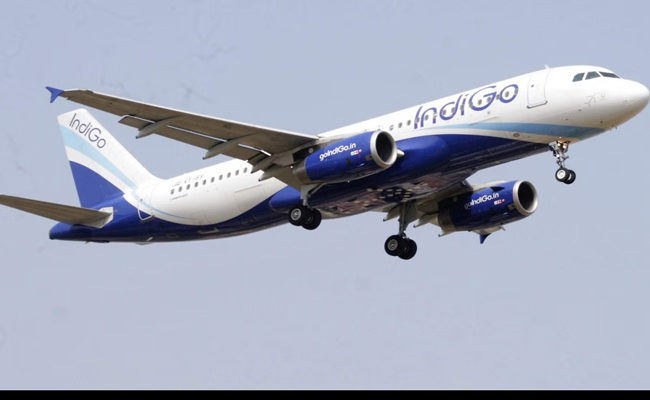 indigo.jpg