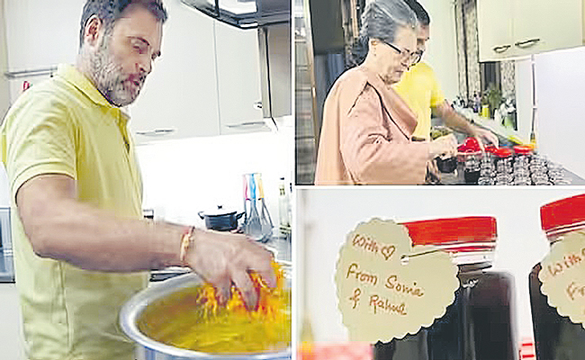 RAHUL-SONIA1.jpg