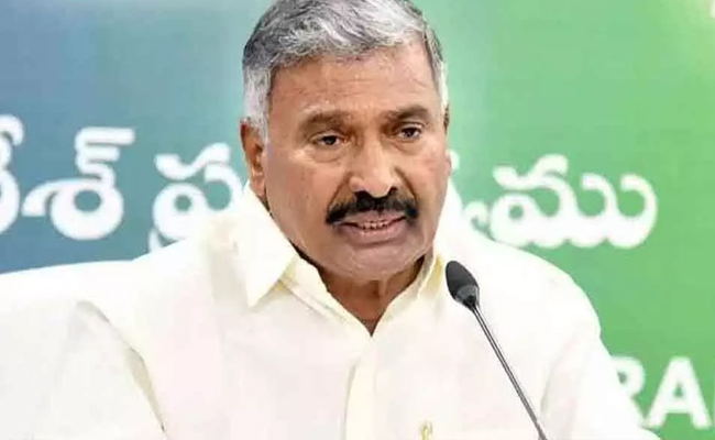 reddy.jpg