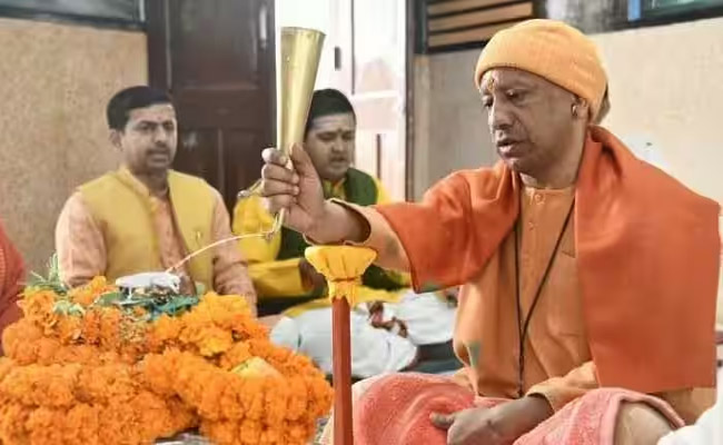 yogi.jpg